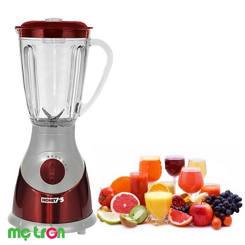 Hình ảnh sản phẩm máy xay sinh tố cao cấp Honey’s HO-SB501P