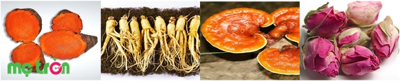 Chiết xuất từ các thành phần thiên nhiên lành tính