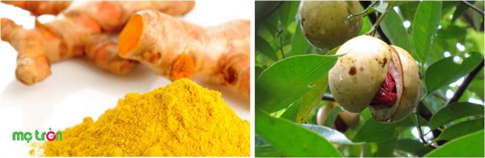 Được điều chế từ các thành phần thiên nhiên Được điều chế từ các thành phần thiên nhiên