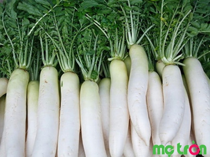 Củ cải là thực phẩm ăn dặm tốt cho bé yêu