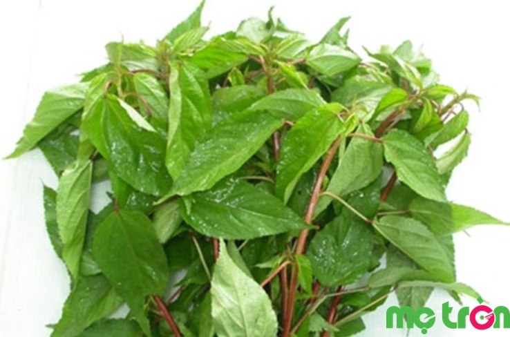 Rau đây là thực phẩm ăn dặm tốt cho bé yêu