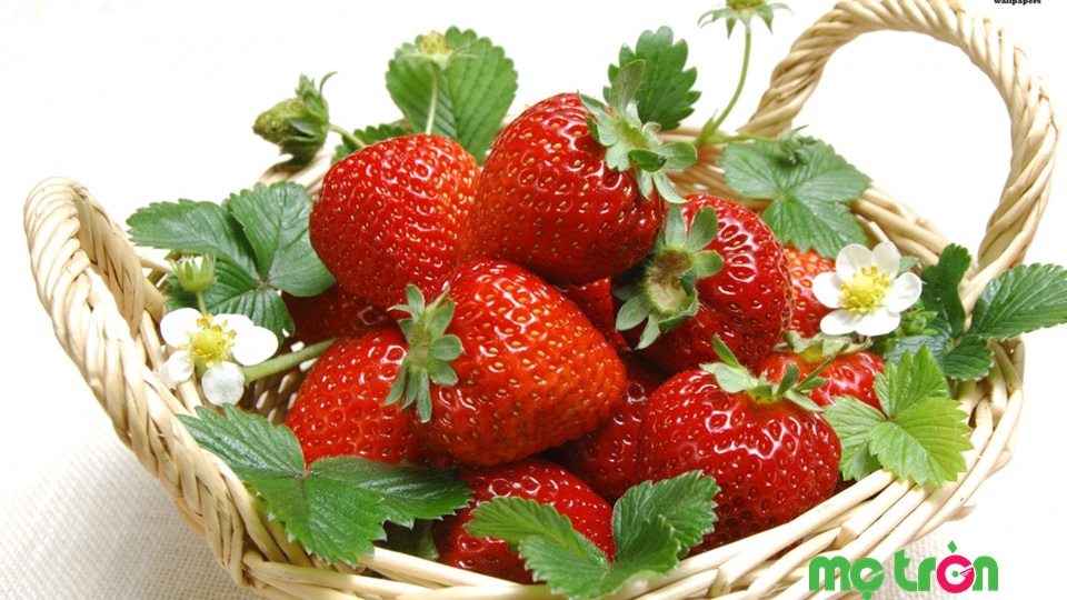Dâu tây chứa nhiều vitamin cần thiết cho bé cưng