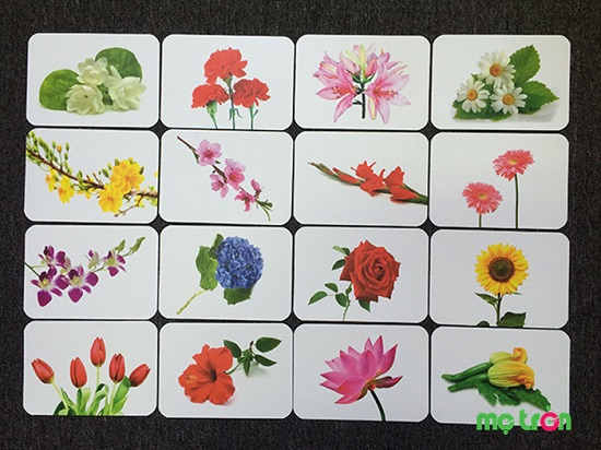 gia-cuc-soc-cuc-da-nhanh-mua-nao-cac-me-oi-21-279-1.jpg (98 KB)