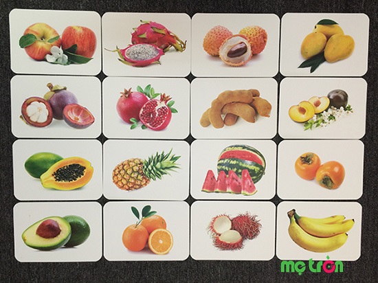 bo-flashcard-hinh-anh-10-chu-de-cho-be-14.jpg (94 KB)