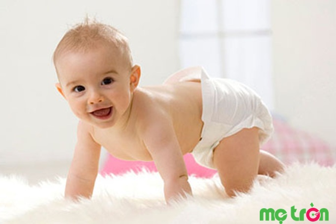 Khi bé được 6 tháng tuổi thì lúc này bé đã trườn nhanh và rất thích trườn