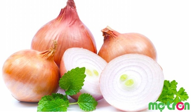 Mẹ biết không hành tây chính là bài thuốc điều trị tình trạng ho có đờm cho bé