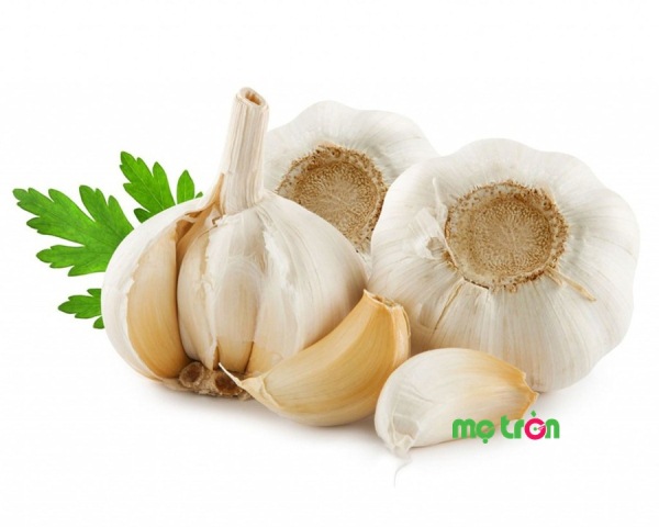 Tỏi giúp mẹ điều trị ho có đờm cho bé