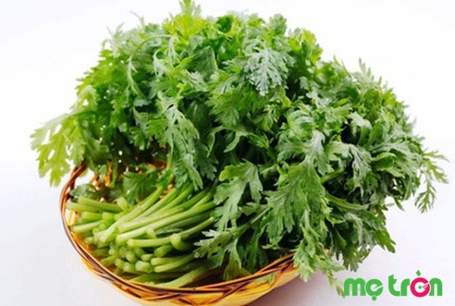 Cải cúc là nguyên liệu điều trị ho có đờm cho bé