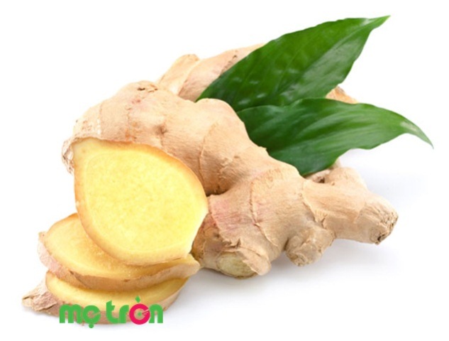 Gừng tươi giúp mẹ chữa ho có đờm cho bé