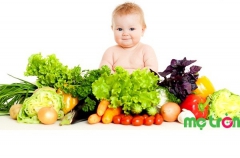 Bổ sung thực phẩm vào chế độ dinh dưỡng thông minh cho bé yêu