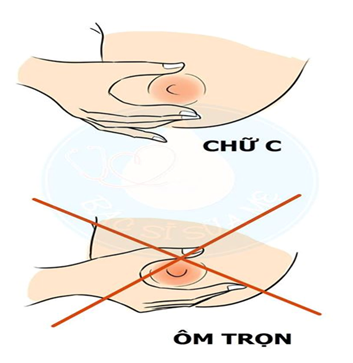 Hướng dẫn mẹ cách vắt sữa bằng tay dễ dàng chất đầy đủ lạnh cho con